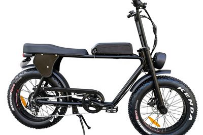 2 seater electric bike (1)_副本