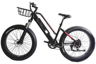 Electric Bicycle (1)_副本