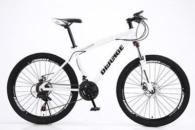 Mountain Sale Bicycle (1)_副本