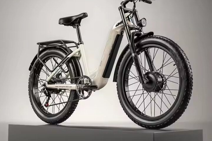 High-Endurance Electric Bike with Durable Battery for Urban & Long-Distance Riding (3) Long battery life electric bike with 48V lithium battery for commuting and city use