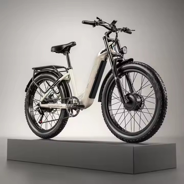 Long battery life electric bike with 48V lithium battery for commuting and city use