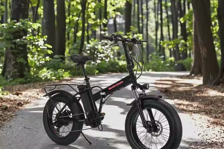Wholesale All-Terrain Folding Electric Bike with Durable Steel Frame (7) Folding electric bike with high-carbon steel frame and fat off-road tires