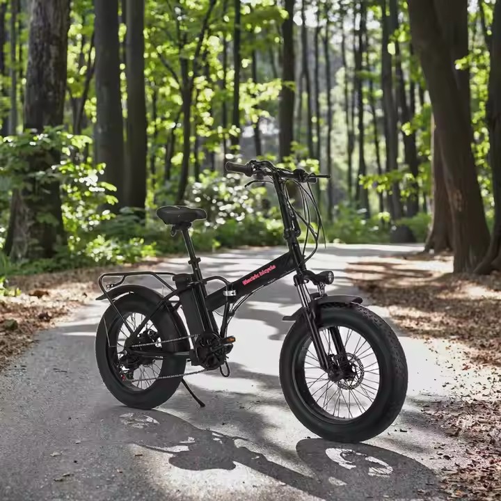 Folding electric bike with high-carbon steel frame and fat off-road tires