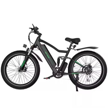 High quality electric bike for adults with lithium battery and disc brakes
