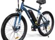 High quality electric bike for adults with lithium battery and disc brakes
