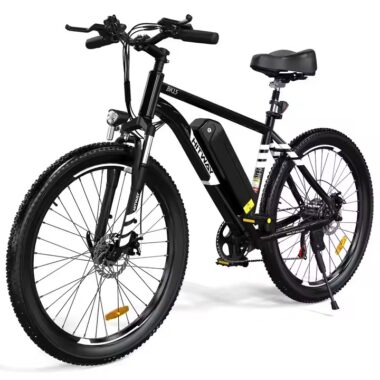 High quality electric bike for adults with lithium battery and disc brakes