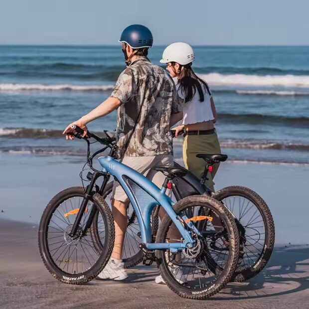 Hybrid electric bike for urban and mountain riding with front suspension