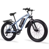 Electric bike manufacturer custom factory