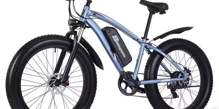 Adult off-road electric bike with fat tires and powerful motor