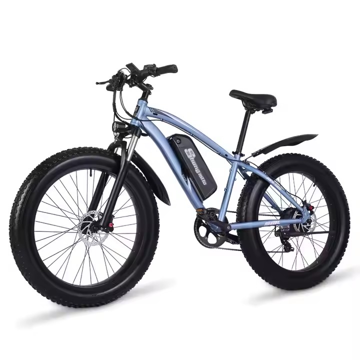 Adult off-road electric bike with fat tires and powerful motor