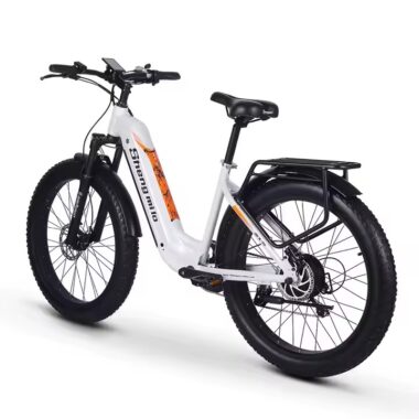 Adult off-road electric bike with fat tires and powerful motor