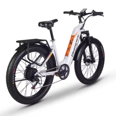 Adult off-road electric bike with fat tires and powerful motor