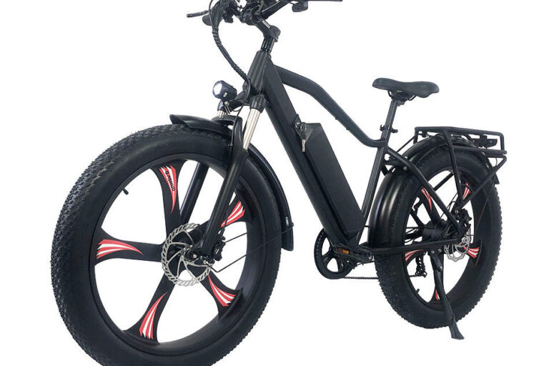 1000W Aluminum Fat Tire Electric Bike (3) 1000W aluminum fat tire electric bike for off-road riding