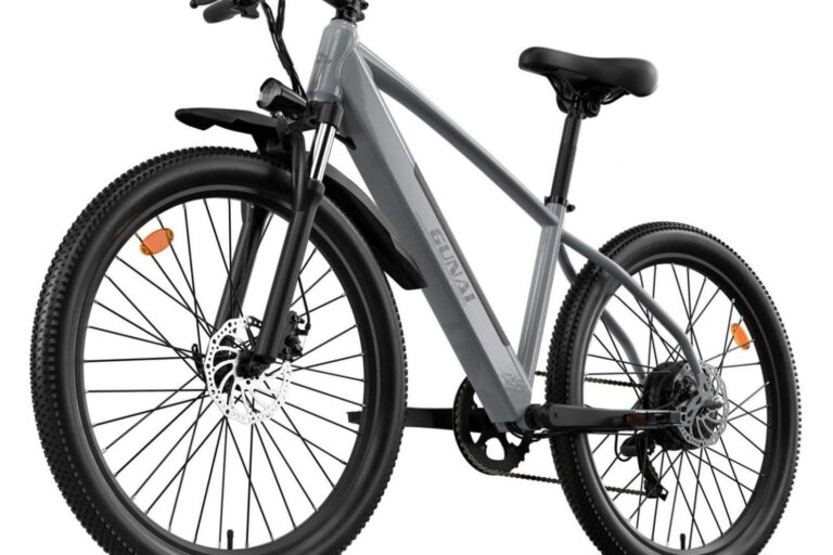 1000W Fat Tire City Electric Bike (2) 1000W 48V fat tire city electric bike for adult riders
