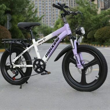 20 inch kids mountain bike with multi-speed gearing system