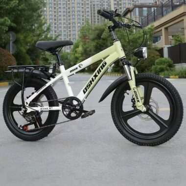 20 inch kids mountain bike with multi-speed gearing system