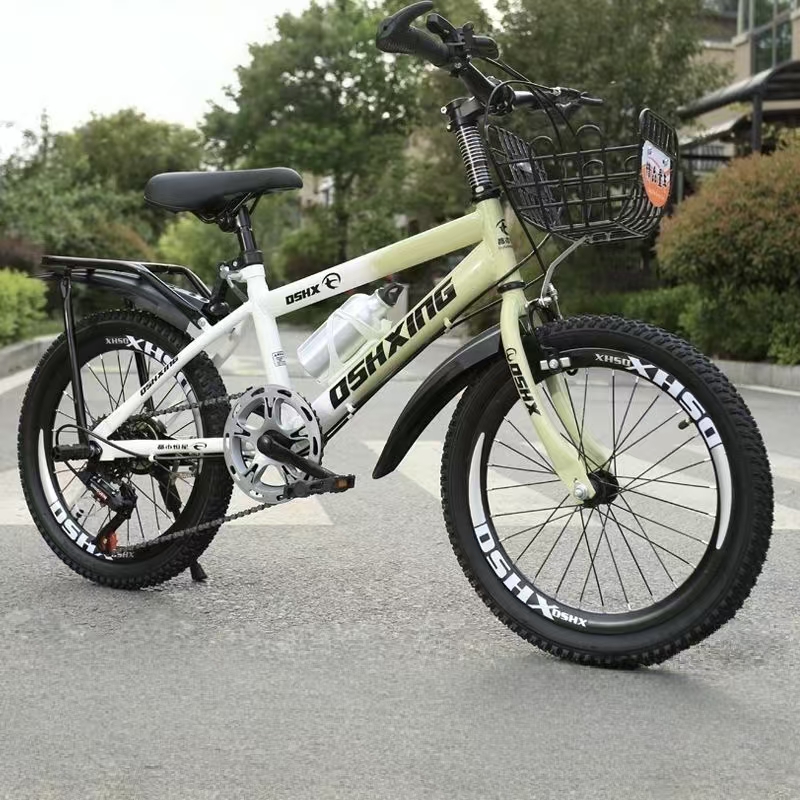 20 inch kids mountain bike with multi-speed gearing system