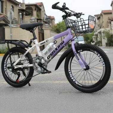 20 inch kids mountain bike with multi-speed gearing system