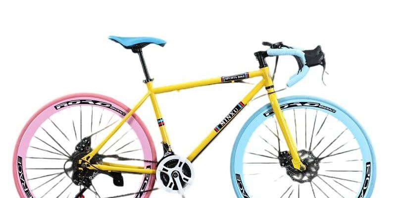 Lightweight steel 21-speed dual disc commuter road bike