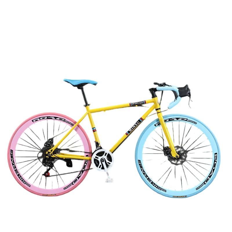 Lightweight steel 21-speed dual disc commuter road bike