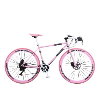 Lightweight steel 21-speed dual disc commuter road bike