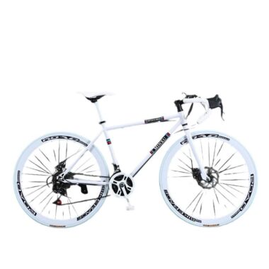 Lightweight steel 21-speed dual disc commuter road bike