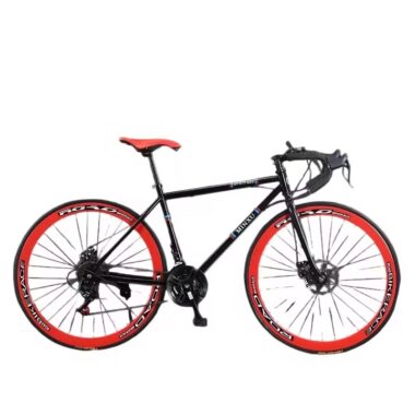 Lightweight steel 21-speed dual disc commuter road bike