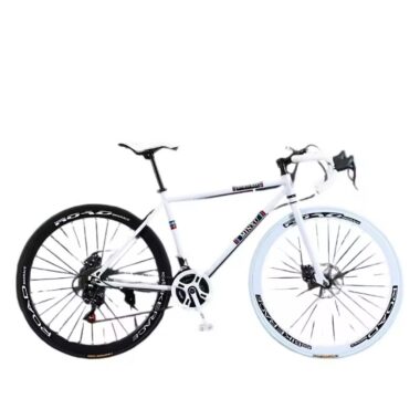 Lightweight steel 21-speed dual disc commuter road bike