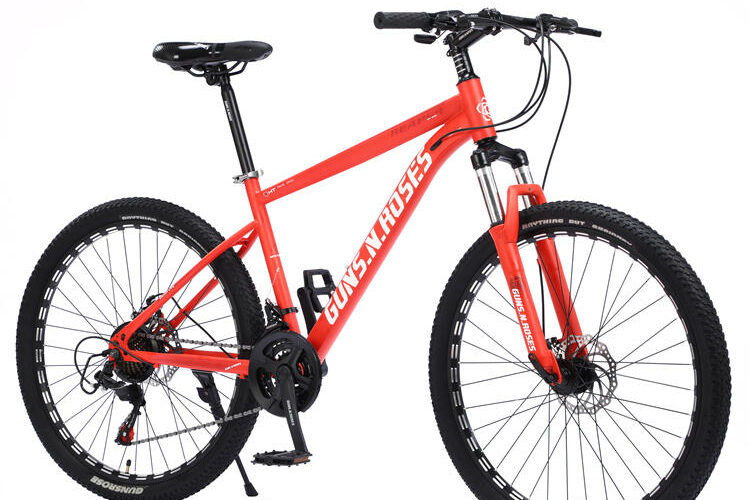 29-Inch 21-Speed Gear Mountain Bike (7) 29-inch 21-speed mountain bike for off-road trail riding