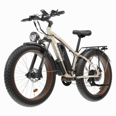 48V 1000W high-performance fat tire electric bike design