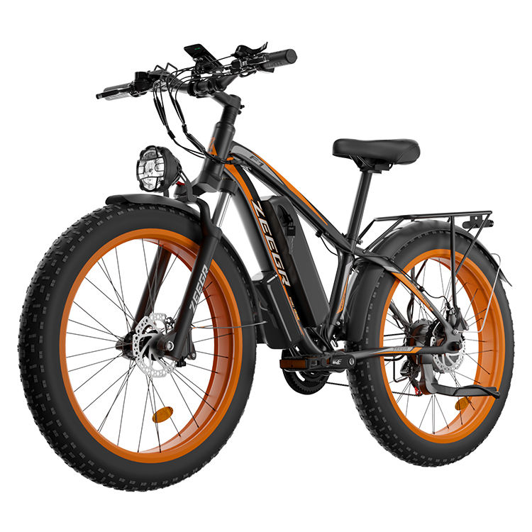 48V 1000W high-performance fat tire electric bike design