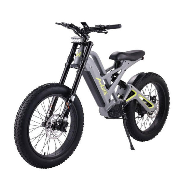 Adult electric bike with large lithium battery and disc brakes