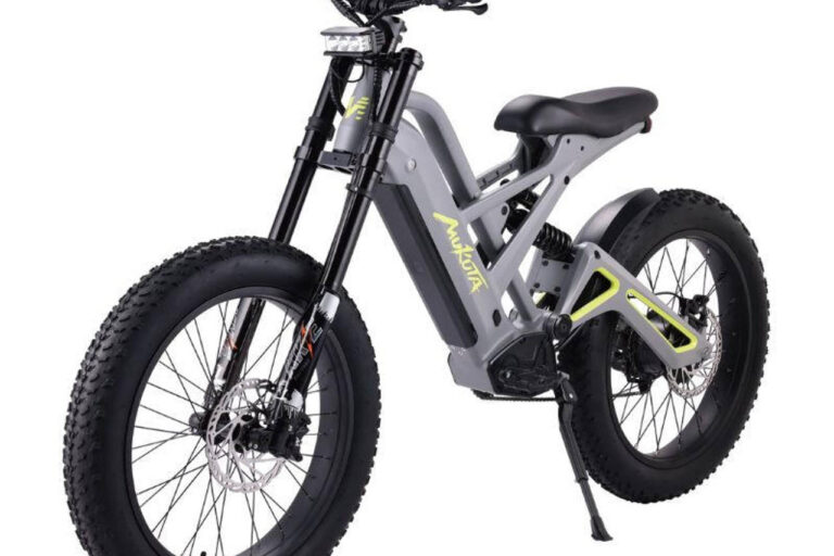 Adult Large Battery Electric Bike (2) Adult electric bike with large lithium battery and disc brakes