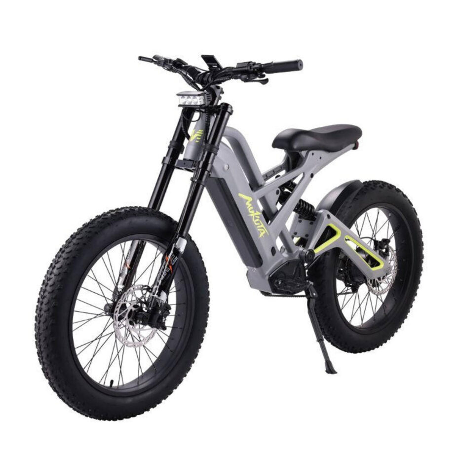 Adult electric bike with large lithium battery and disc brakes