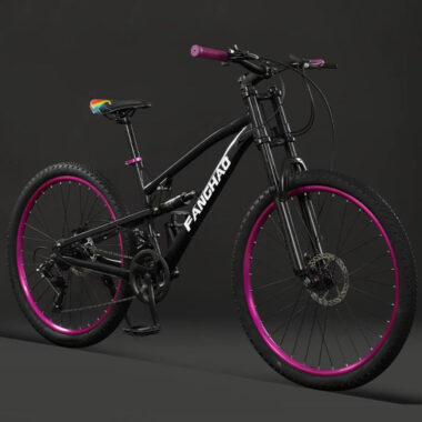 Dual disc brake suspension fork MTB mountain bike for adults