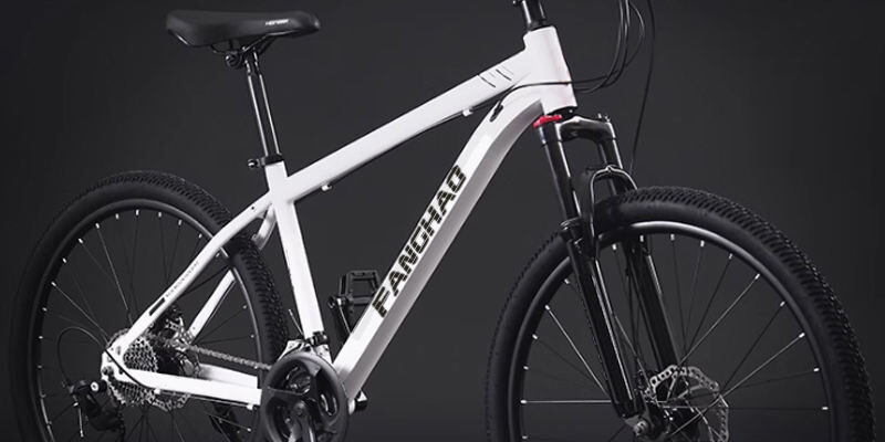 Dual disc brake suspension fork MTB mountain bike for adults