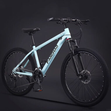 Dual disc brake suspension fork MTB mountain bike for adults