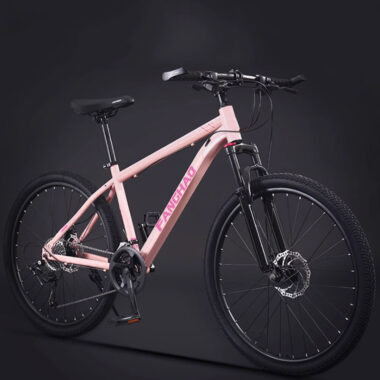 Dual disc brake suspension fork MTB mountain bike for adults