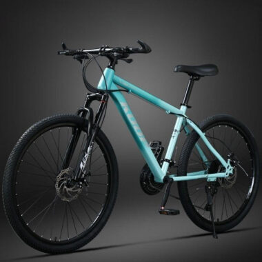 Dual disc brake suspension fork MTB mountain bike for adults