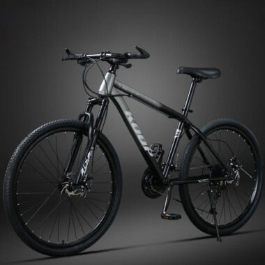 Dual disc brake suspension fork MTB mountain bike for adults