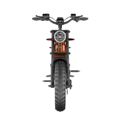 Fat tire all-terrain mountain electric bike for adults