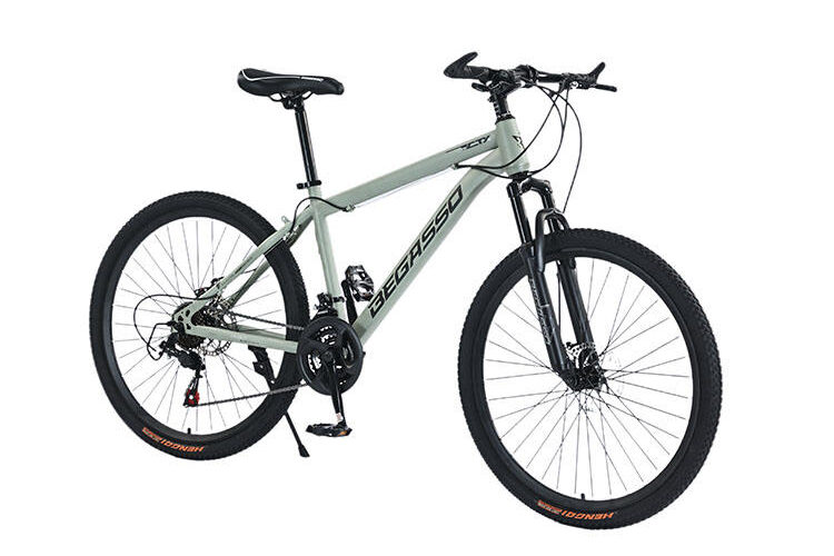 High Carbon Steel Mountain Bike (3) High carbon steel mountain bike for off-road adult riding