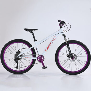 Durable hydraulic dual disc brake MTB mountain bike for adults