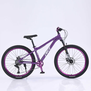 Durable hydraulic dual disc brake MTB mountain bike for adults