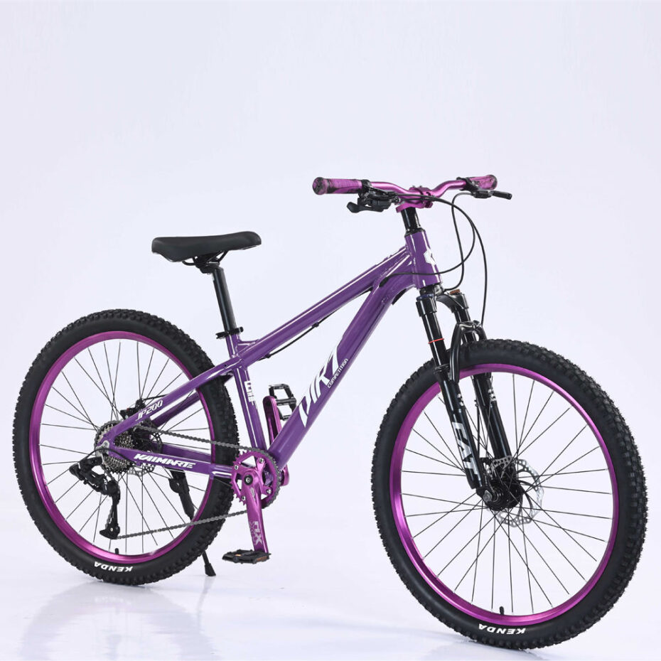 Durable hydraulic dual disc brake MTB mountain bike for adults