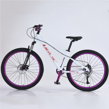 Durable hydraulic dual disc brake MTB mountain bike for adults