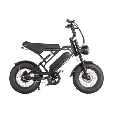Mini 250W 16 inch fat tire electric bike for adults