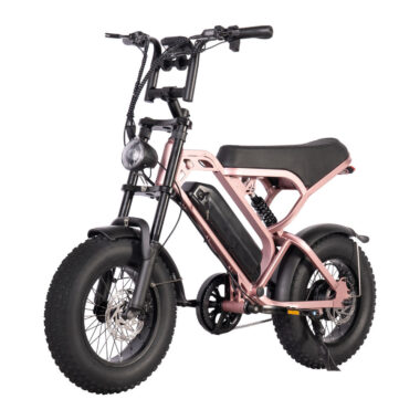 Mini 250W 16 inch fat tire electric bike for adults