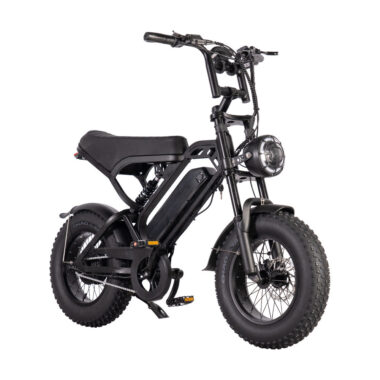 Mini 250W 16 inch fat tire electric bike for adults