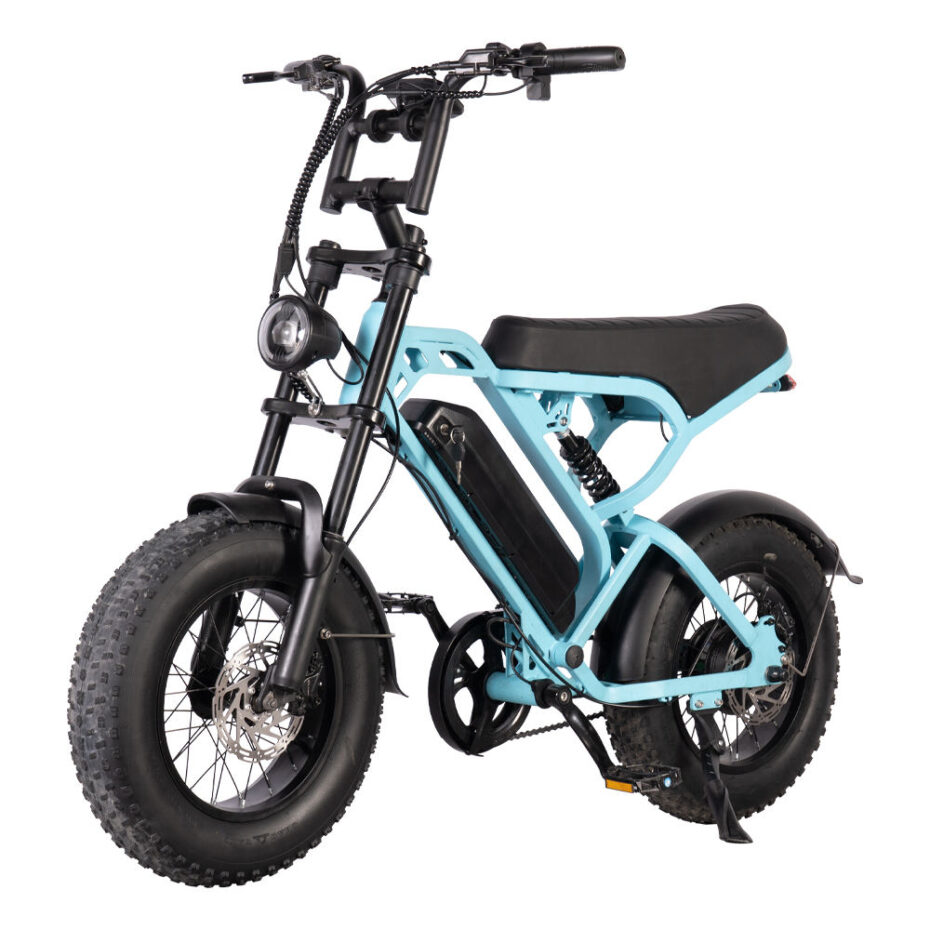 Mini 250W 16 inch fat tire electric bike for adults